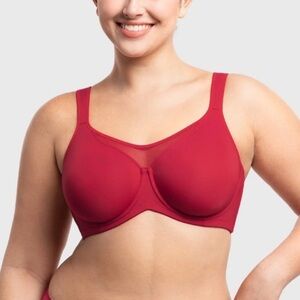 BOGO HSIA CoolComfort Smoothing Unlined Minimizer Underwire Bra 38DDD